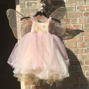 Pottery Barn Kids Pink Fairy Costume 4-6